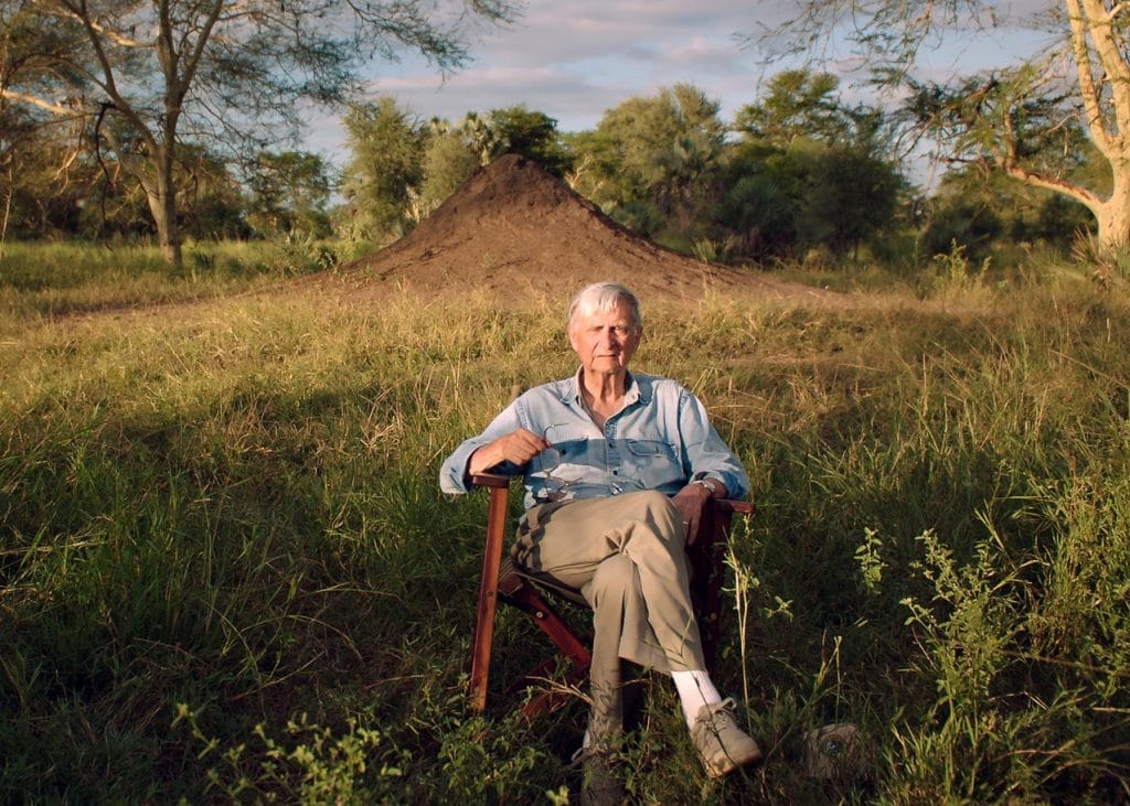 Você já ouviu falar em arquitetura biofílica? Saiba como afeta a sua vida. 1 Edward Osborne Wilson, precursor do conceito de biofilia