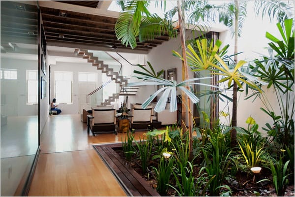 Você já ouviu falar em arquitetura biofílica? Saiba como afeta a sua vida. 3 Jardim de inverno com vegetação tropical