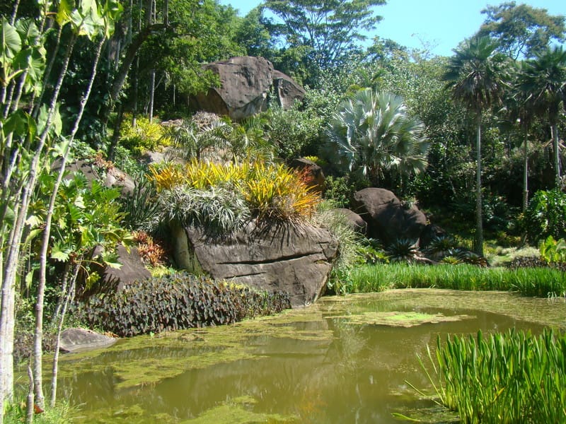 Sítio de Roberto Burle Marx em Barra de Guaratiba (RJ)