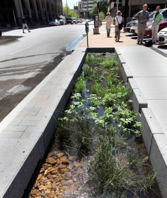 Jardim de chuva recebendo a água que vem da calçada