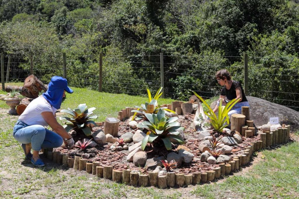 Preciso de Paisagismo ou Jardinagem? 2 Jardineiros fazendo plantio e manutenção