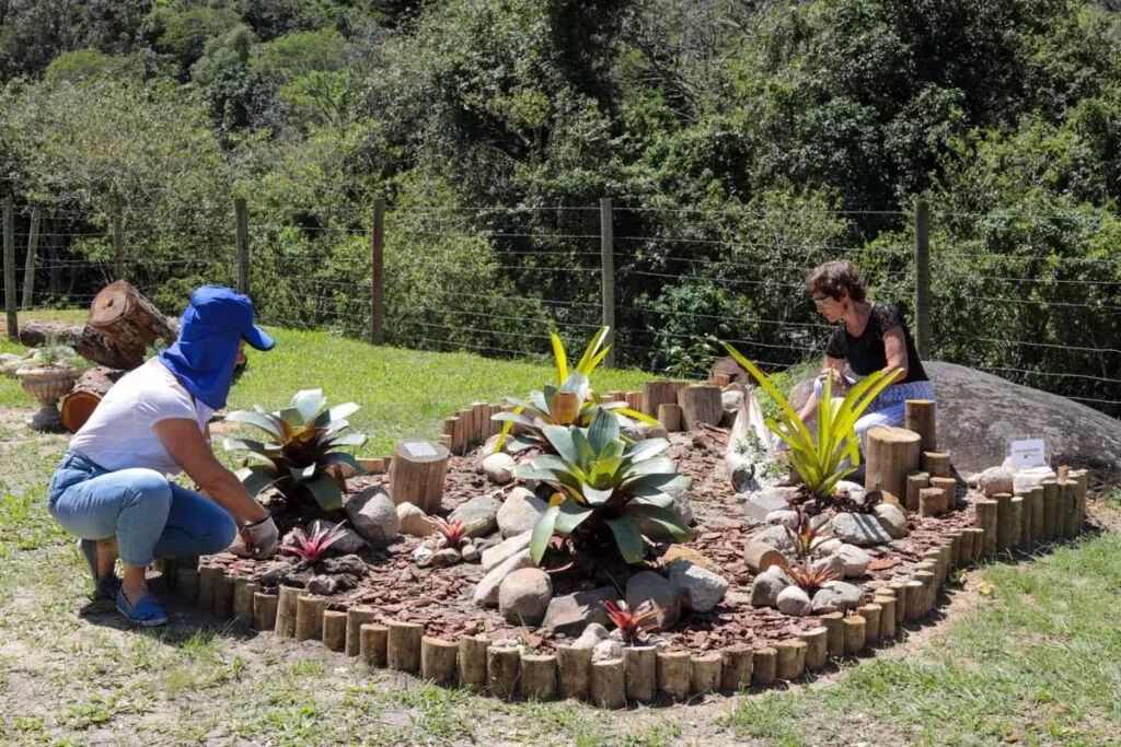 Jardineiros sabem as melhores técnicas de plantio, manutenção e manuseio em geral, prezando pela saúde e beleza das espécies.