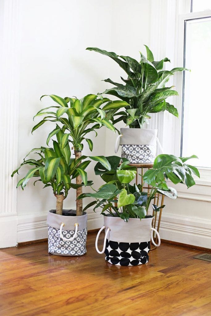 Rega de plantas em vasos na sacada