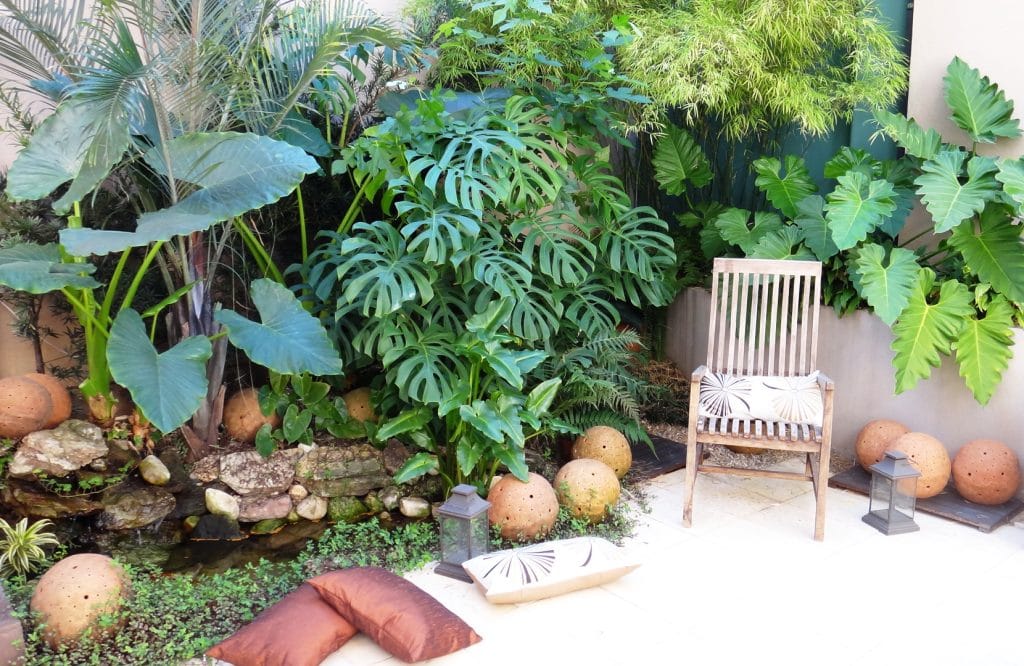 Plantas para jardim tropical