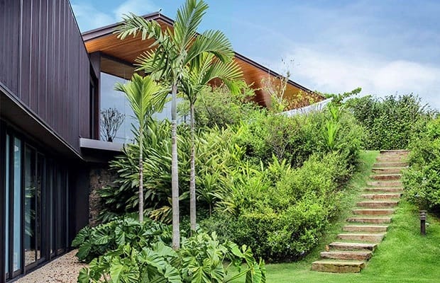 Jardim tropical com espécies nativas e paisagem densa