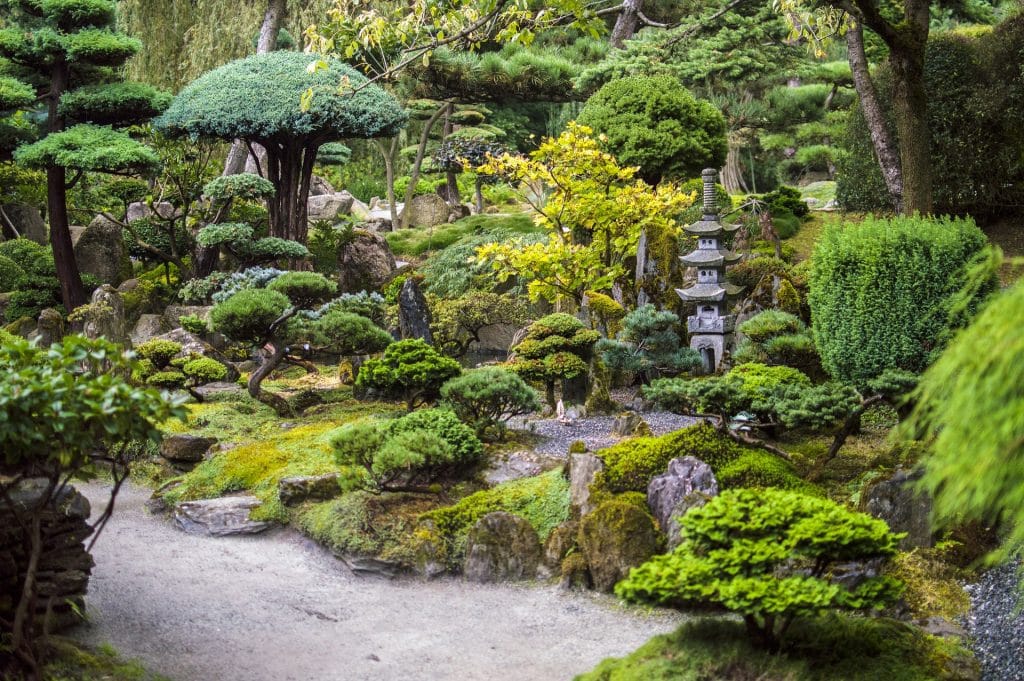Paisagem de jardim japonês