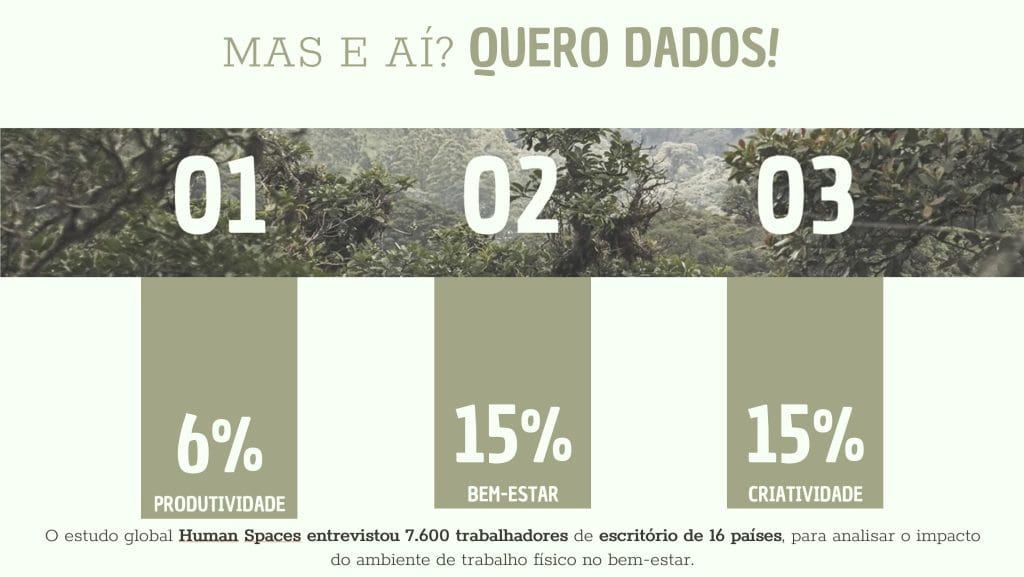 Ambiente biofílico com plantas e materiais naturais