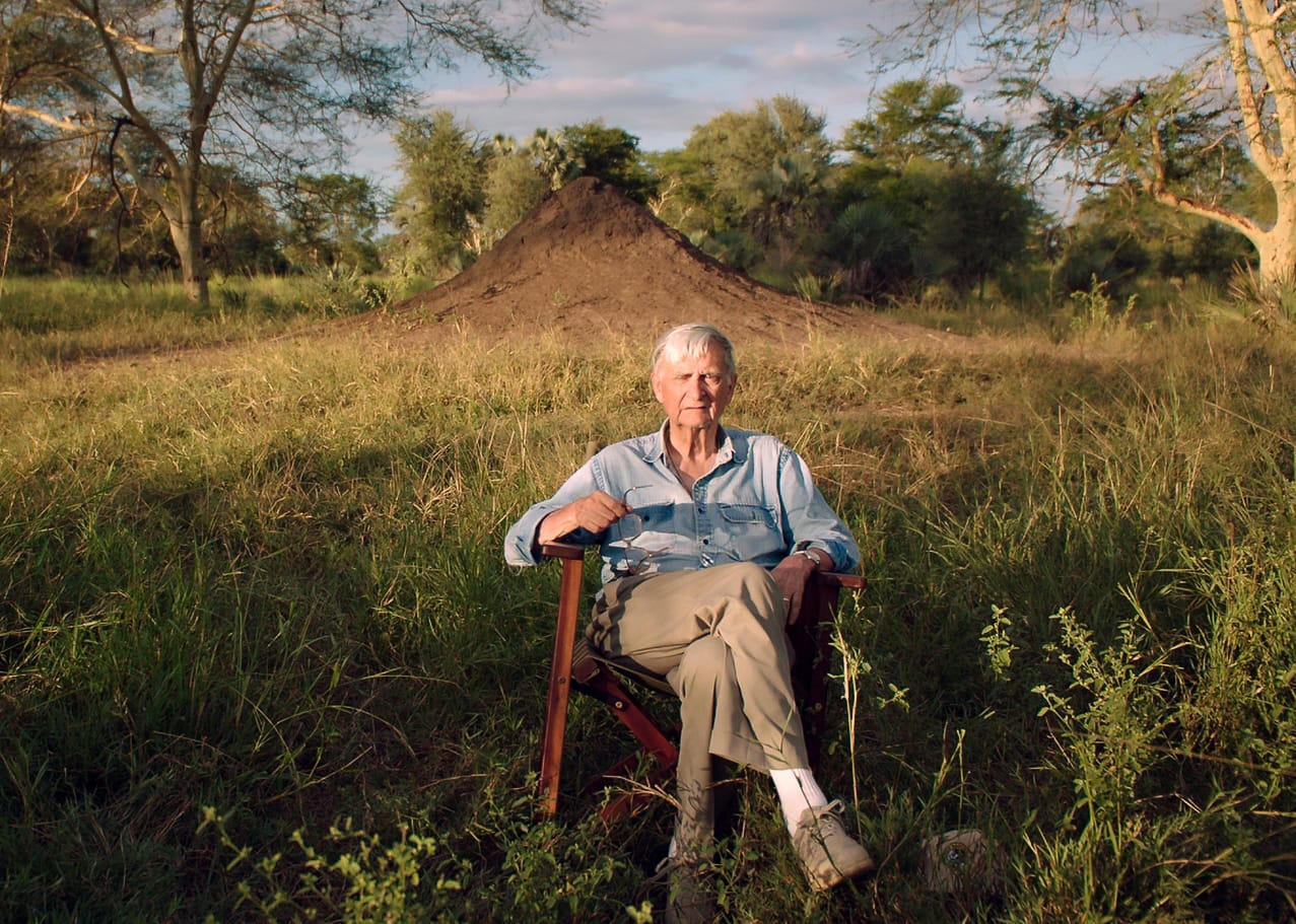 Convivência entre pessoas e natureza ao longo da história