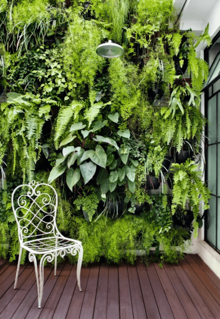 Jardins verticais 1 Jardim vertical cobrindo uma parede
