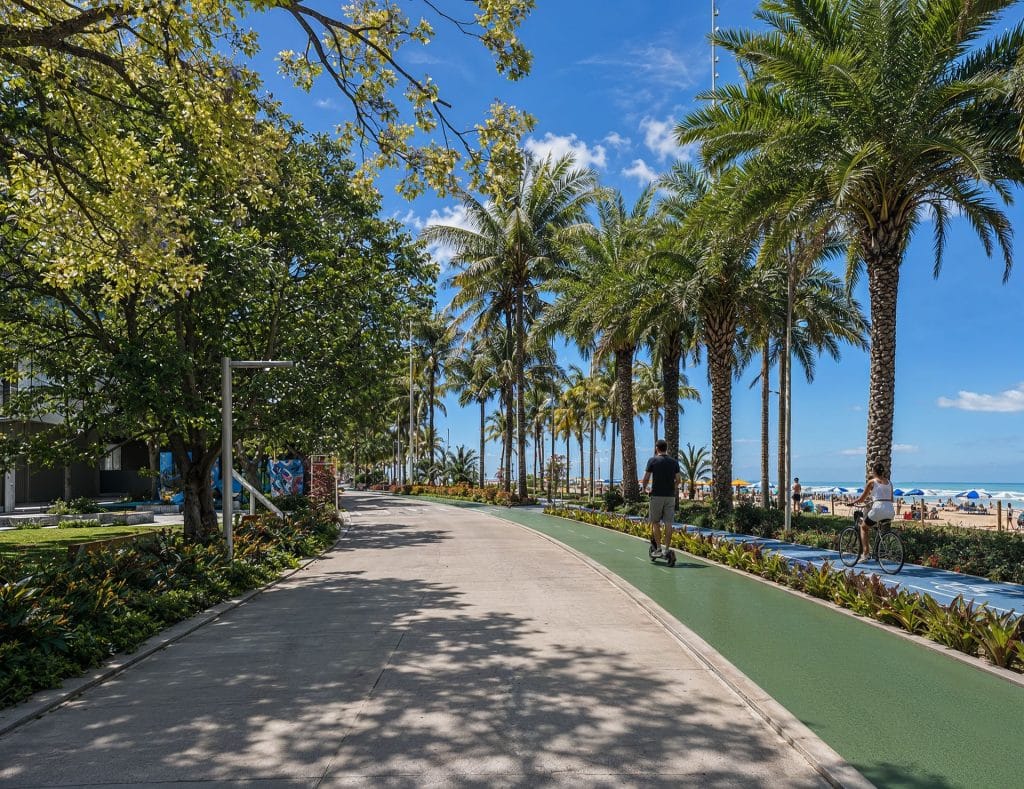 Ciclovia entre palmeiras e canteiros na orla de Meia Praia, em Itapema